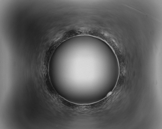 X0000087691253200705111313