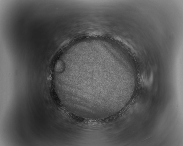 X0000087691254200705111313