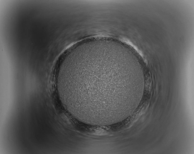 X0000087691255200705111313