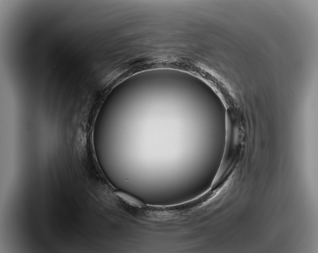 X0000087691257200705111313