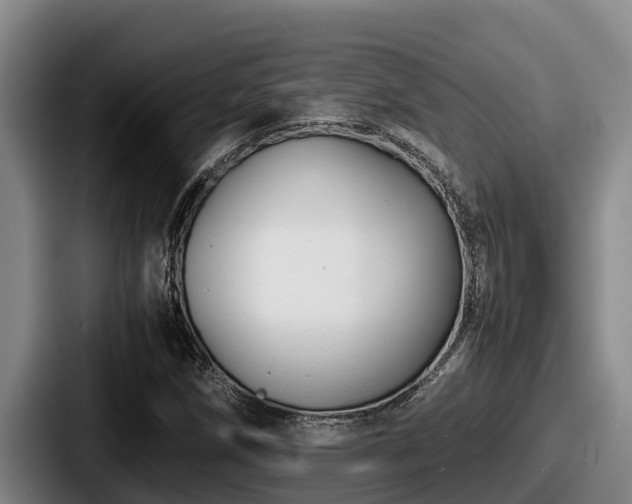 X0000087691258200705111313