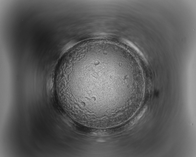 X0000087691259200705111313