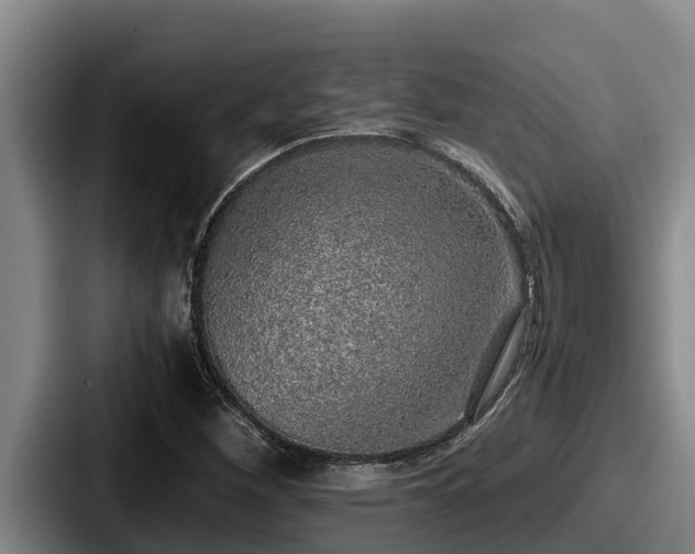 X0000087691260200705111313