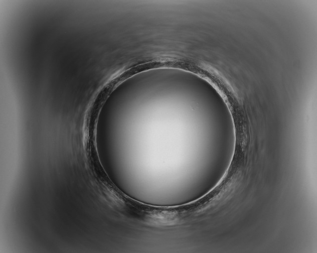X0000087691261200705111313
