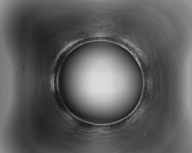 X0000087691262200705111313