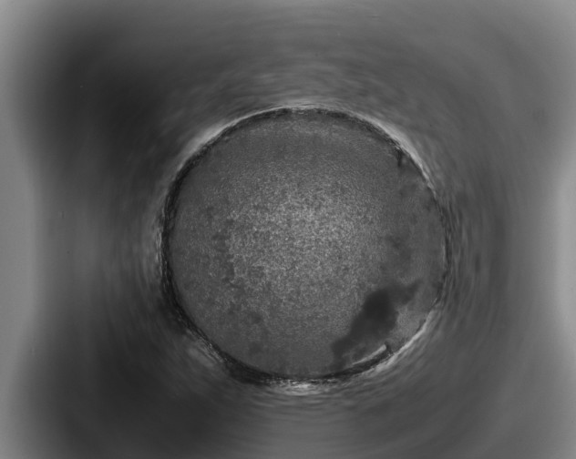 X0000087691263200705111313