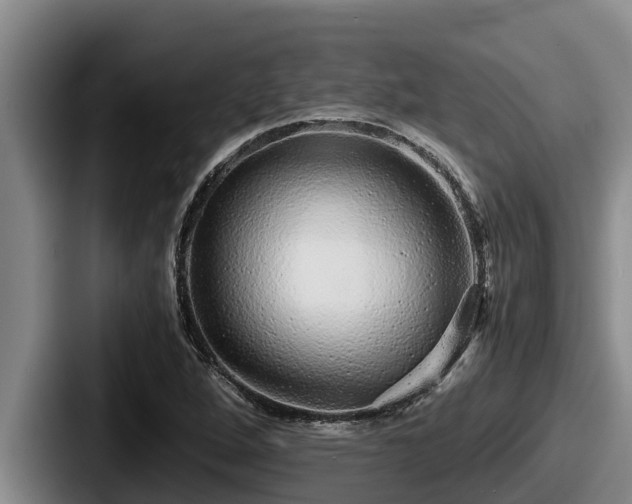 X0000087691264200705111313