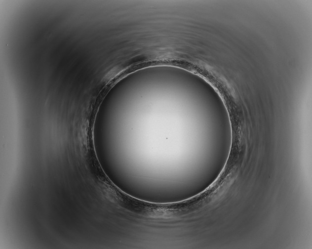 X0000087691265200705111313