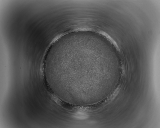 X0000087691266200705111313