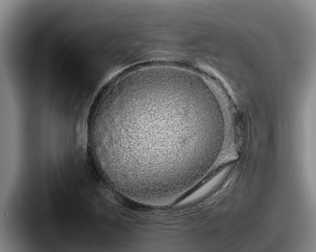 X0000087691267200705111313