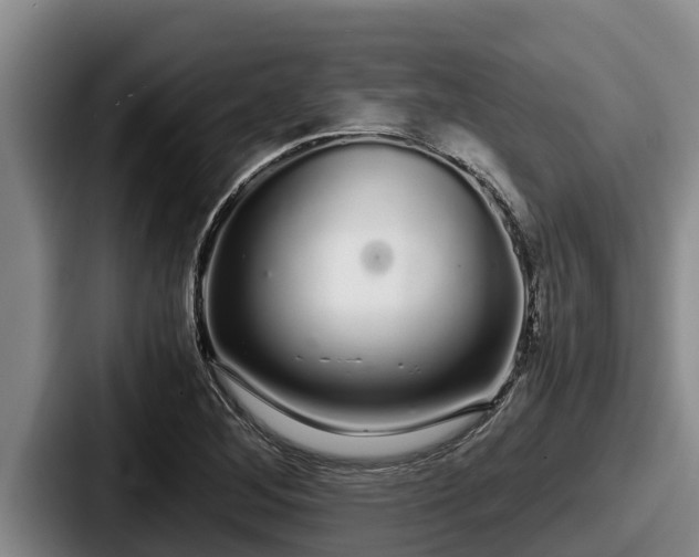 X0000087691268200705111313