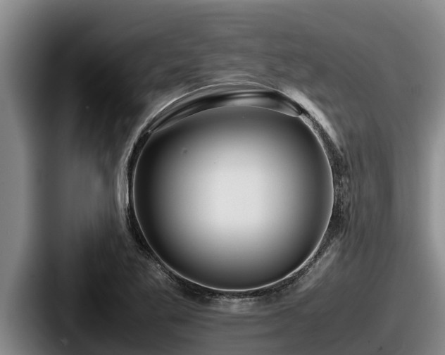 X0000087691269200705111313