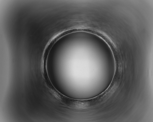 X0000087691270200705111313