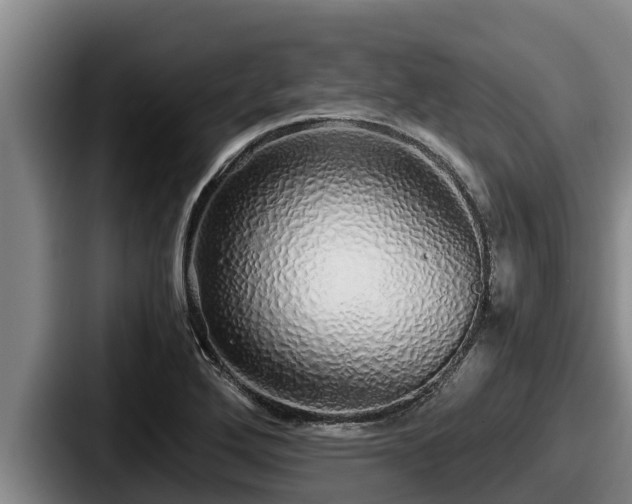 X0000087691272200705111313