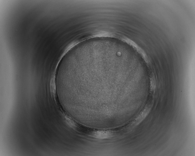 X0000087691274200705111313