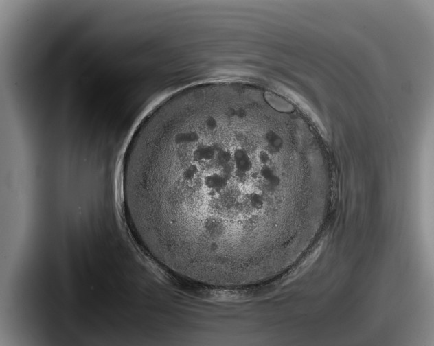 X0000087691275200705111313