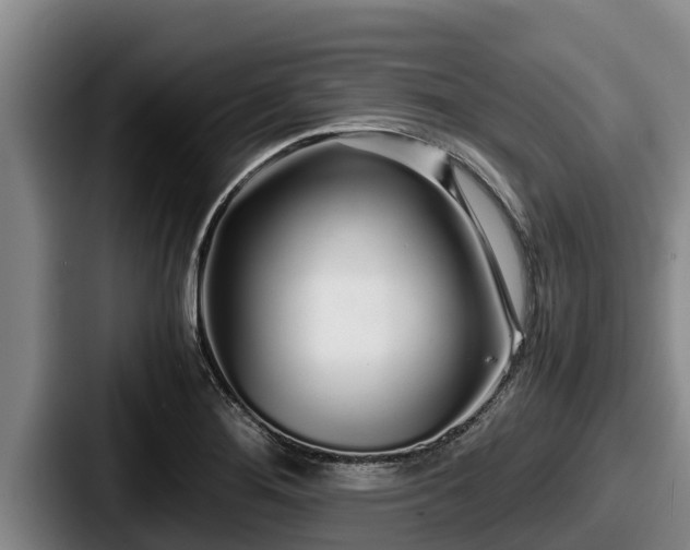 X0000087691276200705111313