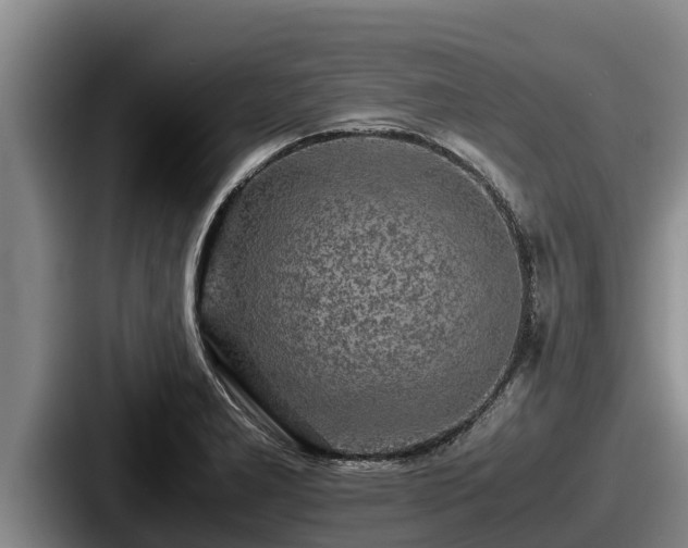 X0000087691277200705111313