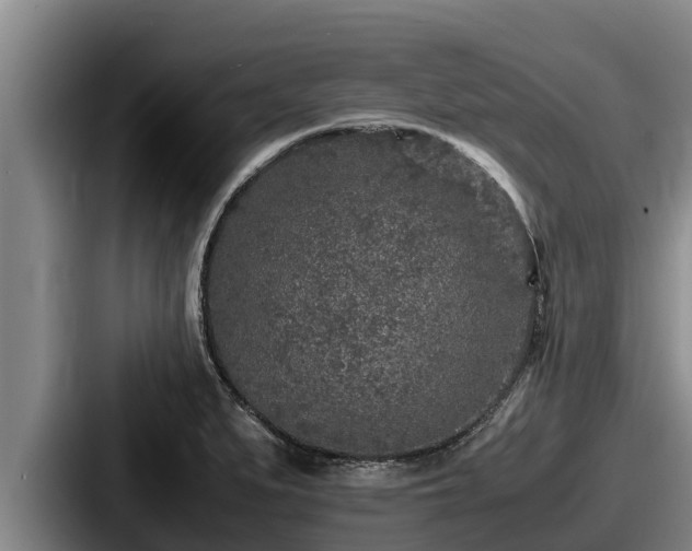 X0000087691279200705111313