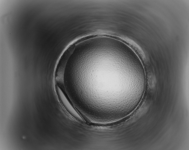 X0000087691280200705111313