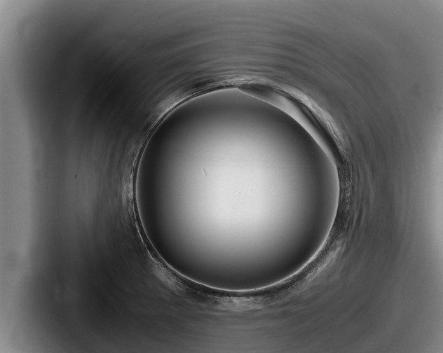 X0000087691281200705111313