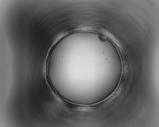 X0000087691282200705111313