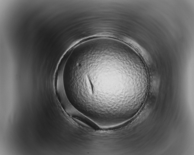 X0000087691284200705111313
