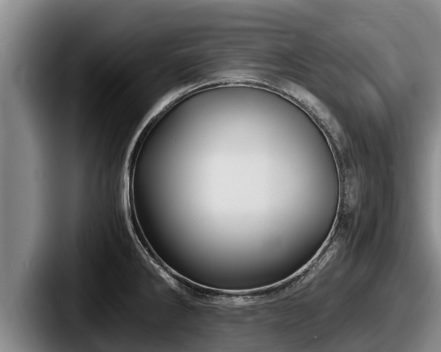 X0000087691286200705111313