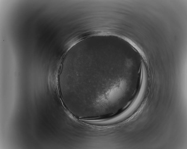 X0000087691289200705111313