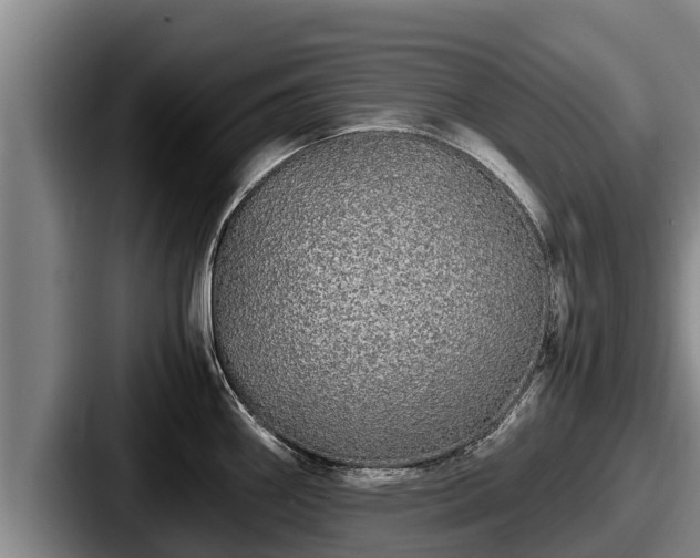 X0000087691290200705111313