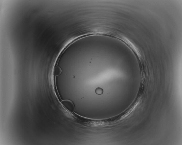 X0000087691291200705111313