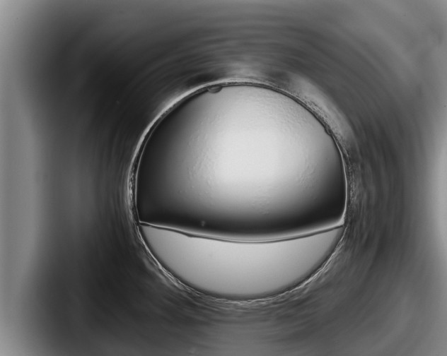 X0000087691292200705111313