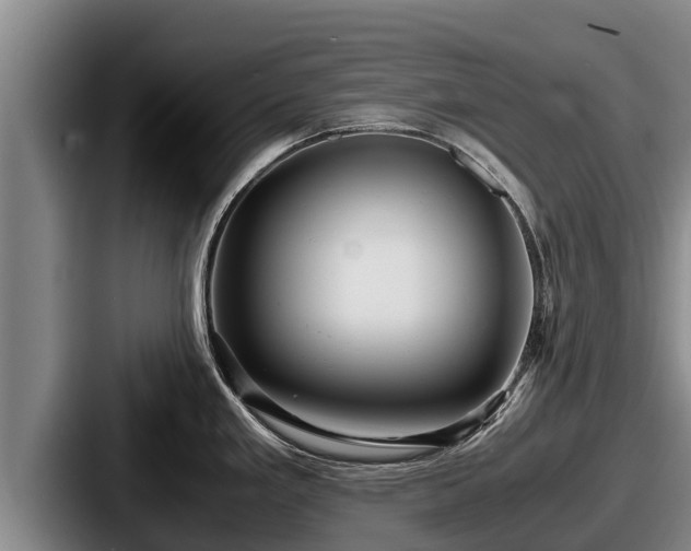 X0000087691293200705111313