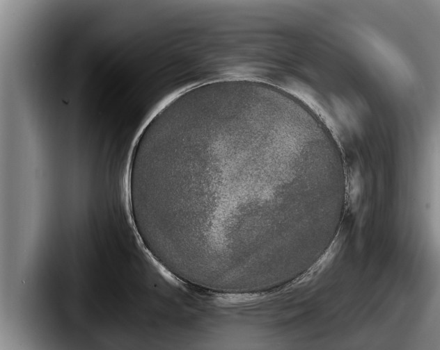 X0000087691294200705111313