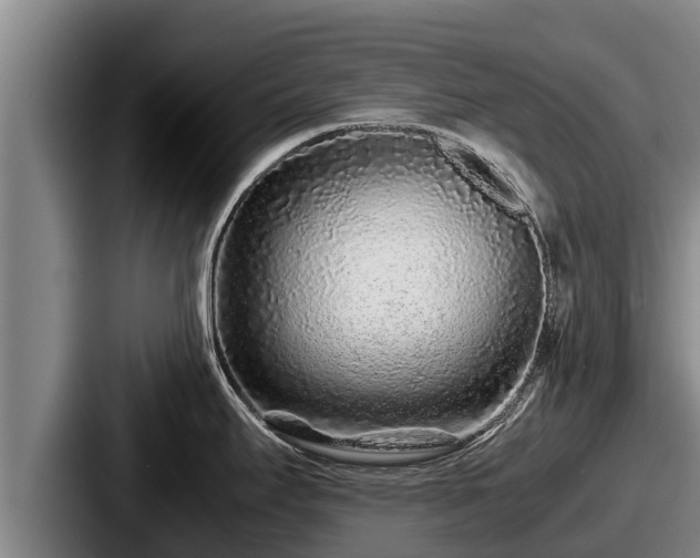 X0000087691295200705111313
