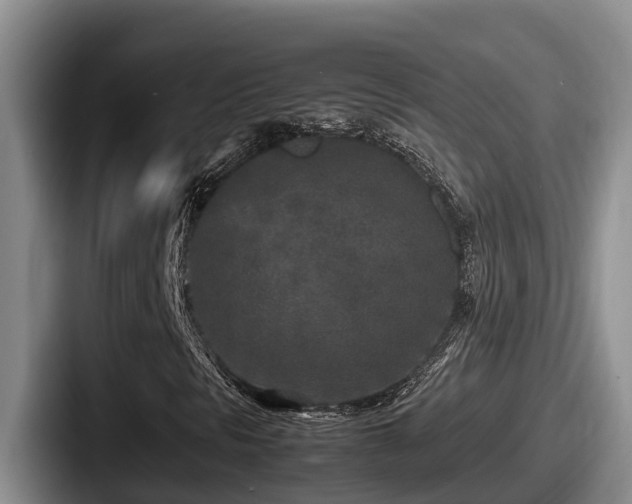 X0000087691297200705111312