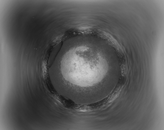 X0000087691298200705111312