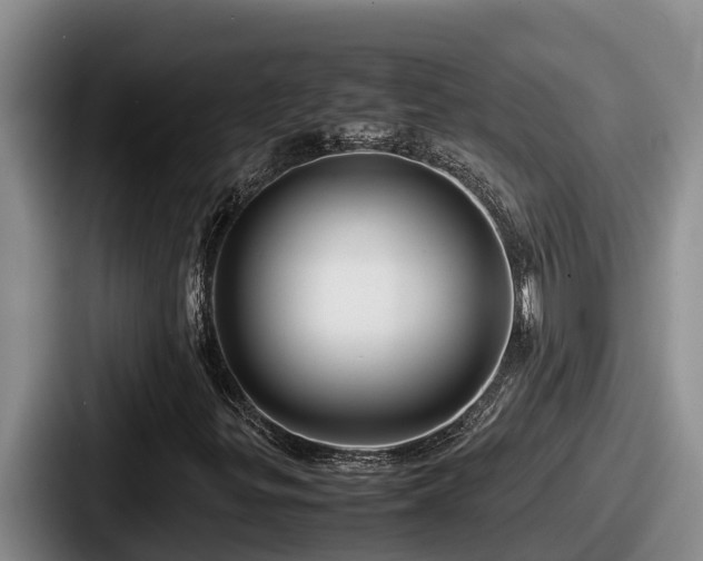 X0000087691299200705111312