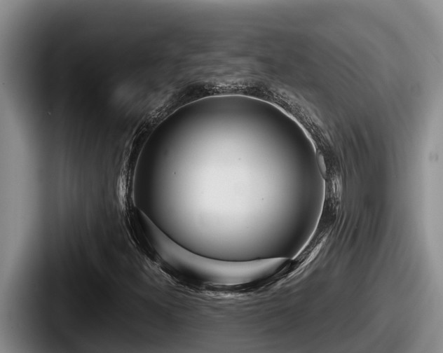 X0000087691300200705111312