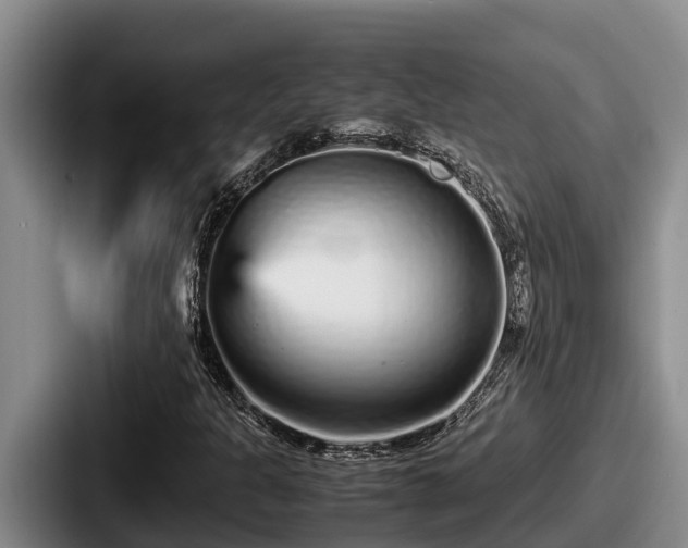 X0000087691301200705111312