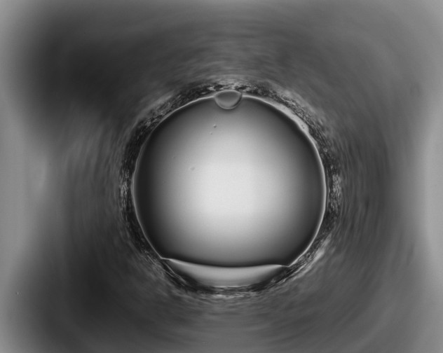 X0000087691302200705111312