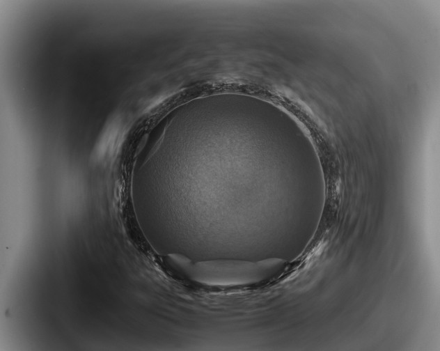 X0000087691303200705111312
