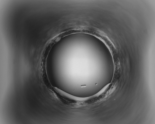 X0000087691304200705111312