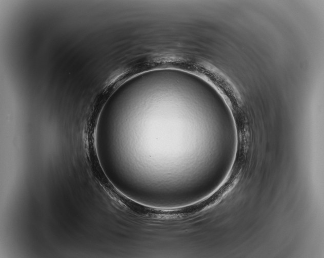 X0000087691305200705111312