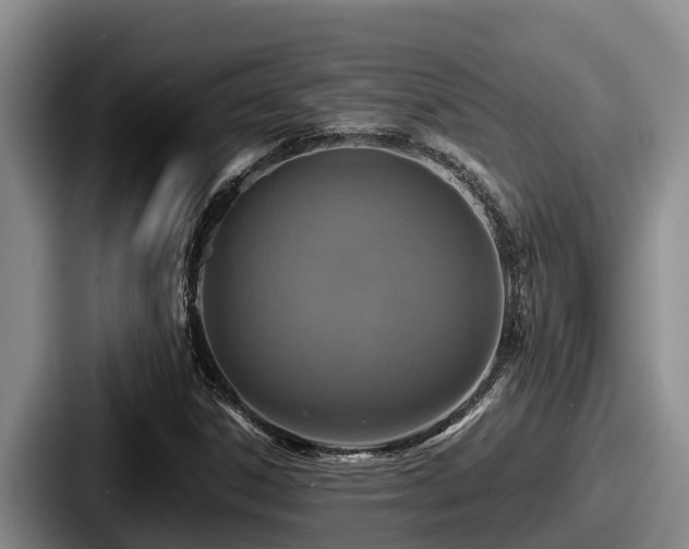 X0000087691306200705111312