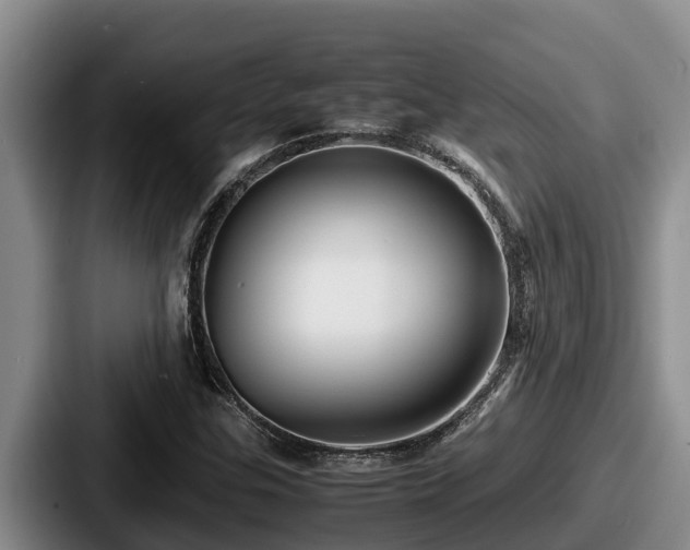 X0000087691307200705111312