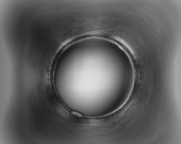 X0000087691308200705111312