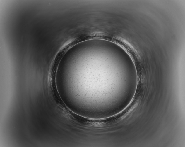 X0000087691309200705111312