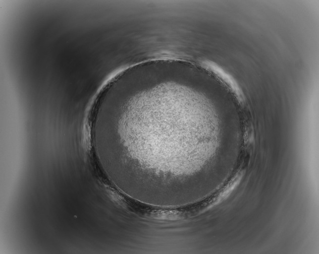 X0000087691310200705111312