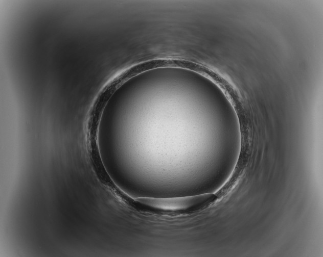 X0000087691311200705111312